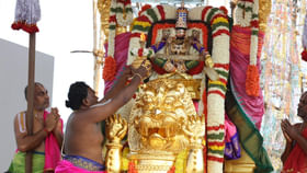 సింహ వాహనంపై శ్రీవారి దర్శనం.. సింహ వాహనంపై శ్రీవారి దర్శనం..