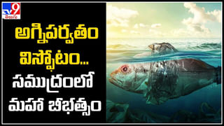 Bolivia: ఆ జైల్లో ఖైదీలే గార్డ్స్.. నేరస్థులే ఉద్యోగస్తులు.. వింత జైలు.. ఎక్కడంటే.?