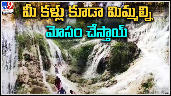 Kona Waterfalls: ఆకట్టుకుంటున్న కోన జలపాతాలు.. జలధారలలో ఎంజాయ్ చేస్తున్న పర్యాటకులు. Kona Waterfalls: ఆకట్టుకుంటున్న కోన జలపాతాలు.. జలధారలలో ఎంజాయ్ చేస్తున్న పర్యాటకులు.