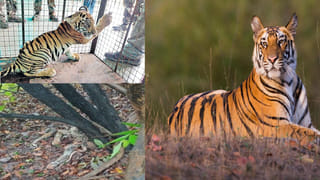 Telangana Crime: మరి కొన్ని గంటల్లో పెళ్లి.. శుభలేఖలు పంచడానికి వెళ్లిన వరుడు చెట్టుకు విగతజీవిగా వేలాడుతూ.. ఏం జరిగిందో?