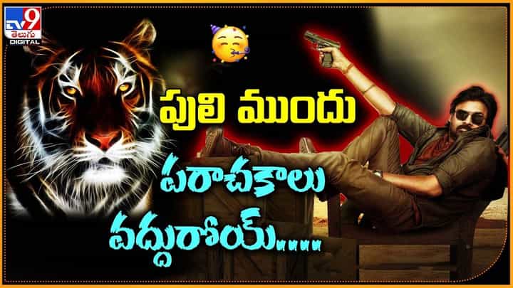 Ustaad Bhagat Singh: పులి ముందు పరాశకాలొద్దురోయ్.. బరిలోకి దిగితే కథ వేరేలా ఉంటది Ustaad Bhagat Singh: పులి ముందు పరాశకాలొద్దురోయ్.. బరిలోకి దిగితే కథ వేరేలా ఉంటది