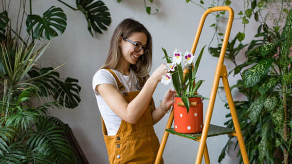 Vastu Tips: నాన్స్టాప్ ధనప్రవాహం కావాలంటే ఇంట్లో ఈ మొక్కలు ఉండాల్సిందే.. లిస్టులో ఏయే ప్లాంట్స్ ఉన్నాయంటే..?