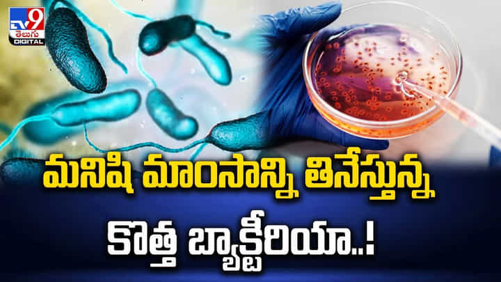 మనిషి మాంసాన్ని తినేస్తున్న కొత్త బ్యాక్టీరియా !! ఇప్పటికే 13 మంది మృత్యువాత మనిషి మాంసాన్ని తినేస్తున్న కొత్త బ్యాక్టీరియా !! ఇప్పటికే 13 మంది మృత్యువాత