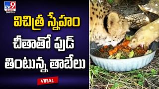 Viral News: ఘాటు మిర్చిని ముక్కుకు రుద్దుకున్న యువతి.. అలెర్జీతో 6 నెలలుగా ఆస్పత్రిలోనే.. ఎప్పటికి డిశార్జ్ అవుతుందో చెప్పలేమంటున్న వైద్యులు..