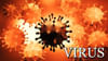 Virus: కరోనా జస్ట్ శాంపిలే.. మరో ‘మహా వైరస్’ ప్రమాదం ముందుంది..! ప్రపంచాన్ని షేక్ చేస్తున్న ‘బాట్‌వుమన్’ వార్నింగ్..