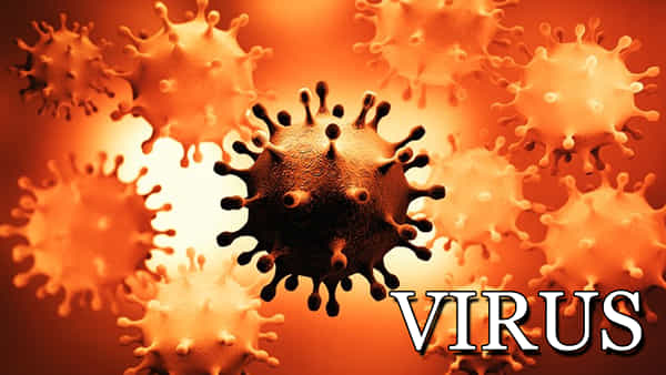 Virus: కరోనా జస్ట్ శాంపిలే.. మరో ‘మహా వైరస్’ ప్రమాదం ముందుంది..! ప్రపంచాన్ని షేక్ చేస్తున్న ‘బాట్వుమన్’ వార్నింగ్..
