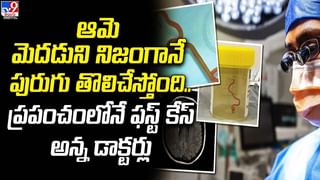 Viral Video: మటన్ అంటే అంతేమరి.. బిర్యానీలో మటన్ పీస్ రాలేదని ఘర్షణకు దిగిన అతిథి.. ఇరువర్గాలు కర్రలతో కొట్లాట..