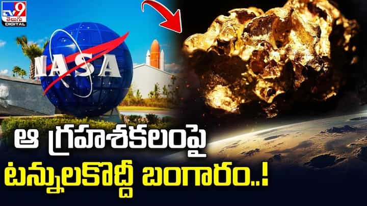 ఆ గ్రహశకలంపై టన్నులకొద్దీ బంగారం !! ఆసక్తికర విషయాలు వెల్లడించిన నాసా ఆ గ్రహశకలంపై టన్నులకొద్దీ బంగారం !! ఆసక్తికర విషయాలు వెల్లడించిన నాసా