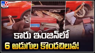 Viral: గబ్బిలాలు ఆ ఊరి అదృష్ట దేవతలు.! చింతచెట్టుకు పూజలు.. గబ్బిలాల వ్యర్థాలతో స్నానం.