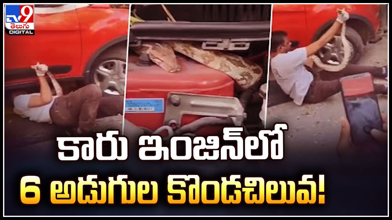 Viral: కారు ఇంజిన్‌లో 6 అడుగుల కొండచిలువ.! బయటకు తీయడానికి ఏం చేసారంటే..?