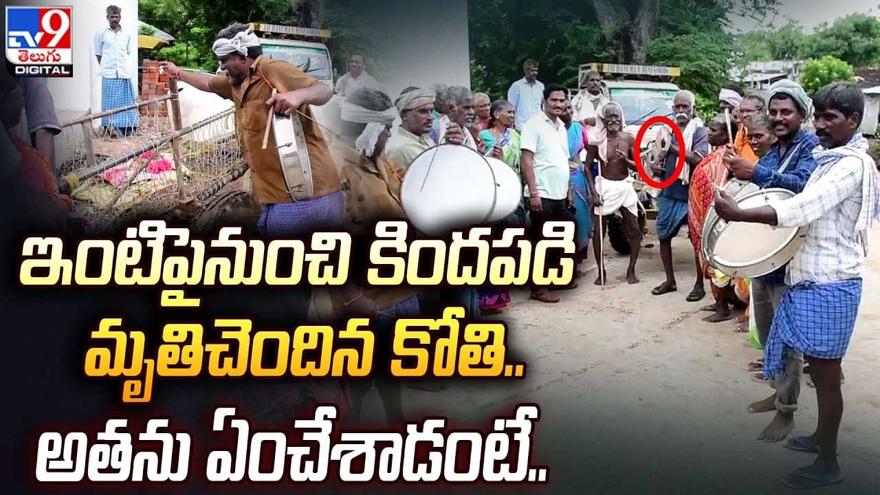 Monkey Video: ఇంటిపైనుంచి కిందపడి మృతిచెందిన కోతి.. అతను ఏంచేశాడంటే..?