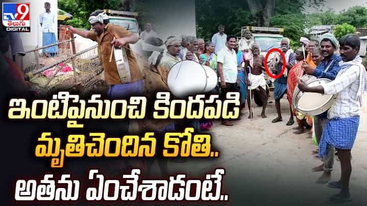 Monkey Video: ఇంటిపైనుంచి కిందపడి మృతిచెందిన కోతి.. అతను ఏంచేశాడంటే..? Monkey Video: ఇంటిపైనుంచి కిందపడి మృతిచెందిన కోతి.. అతను ఏంచేశాడంటే..?