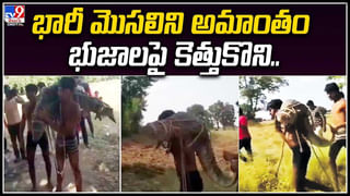 Viral: పైపులోంచి నీళ్లు ఫాస్ట్‌గా రావట్లేదని..అతనేం చేశాడో తెలుసా..? వీడియో.