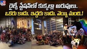 రైల్వే స్టేషన్లో కుక్కల్లా అరుపులు.. ఒకరు కాదు.. ఇద్దరు కాదు.. రైల్వే స్టేషన్లో కుక్కల్లా అరుపులు.. ఒకరు కాదు.. ఇద్దరు కాదు..