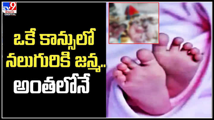 Viral: మిరాకిల్.. ఒకే కాన్పులో నలుగురికి జన్మ.. కానీ గంటల వ్యవధిలోనే శిశువులందరూ..? Viral: మిరాకిల్.. ఒకే కాన్పులో నలుగురికి జన్మ.. కానీ గంటల వ్యవధిలోనే శిశువులందరూ..?