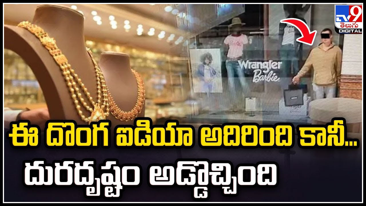 Viral: ఈ దొంగ ఐడియా అదిరింది కానీ.. దురదృష్టం అడ్డొచ్చింది..! వీడియో వైరల్..