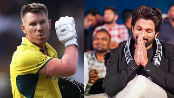 Allu Arjun: నువ్వు కోరుకున్నవన్నీ దక్కాలి బ్రో.. వార్నర్కు బర్త్ డే విషెస్ చెప్పిన అల్లు అర్జున్