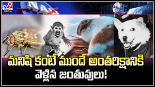 Bus Stop Stole: వీళ్లు మామూలోళ్లు కాదు.. బెంగళూరులో ఏకంగా బస్టాప్‌నే లేపేసారు.