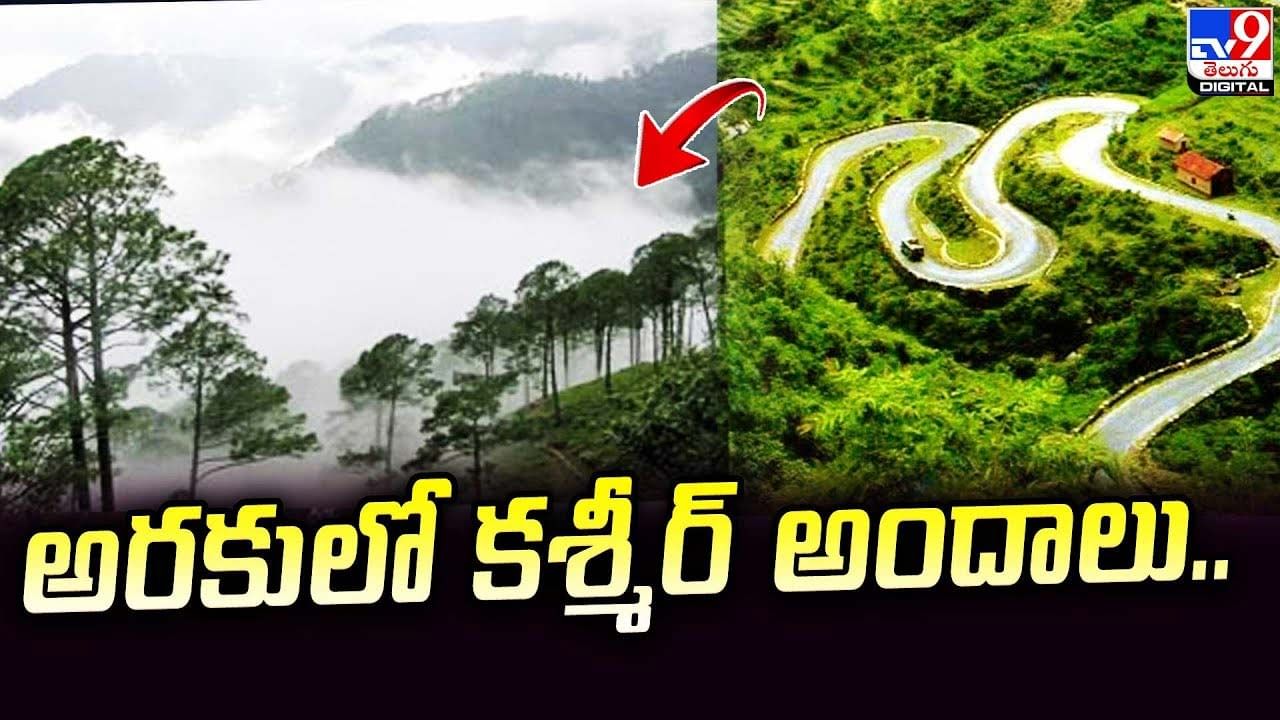 Araku: అరకులో కాశ్మీర్‌ అందాలు.. చూడటానికి రెండు కళ్ళు చాలవుగా