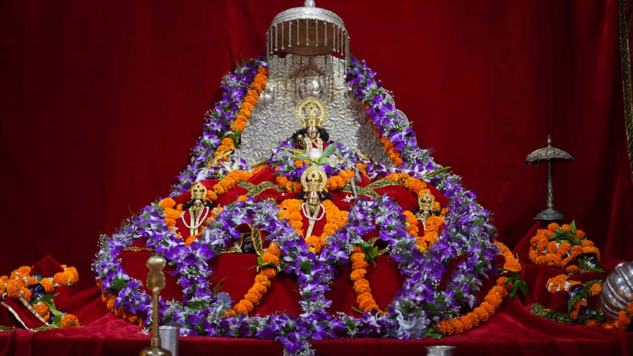 రామయ్య కొలువుదీరే ఈ రామమందిర నిర్మాణానికి రాజస్థాన్లోని భరత్పూర్ జిల్లాకు చెందిన గ్రానైట్ రాళ్లను వినియోగిస్తున్నారు.