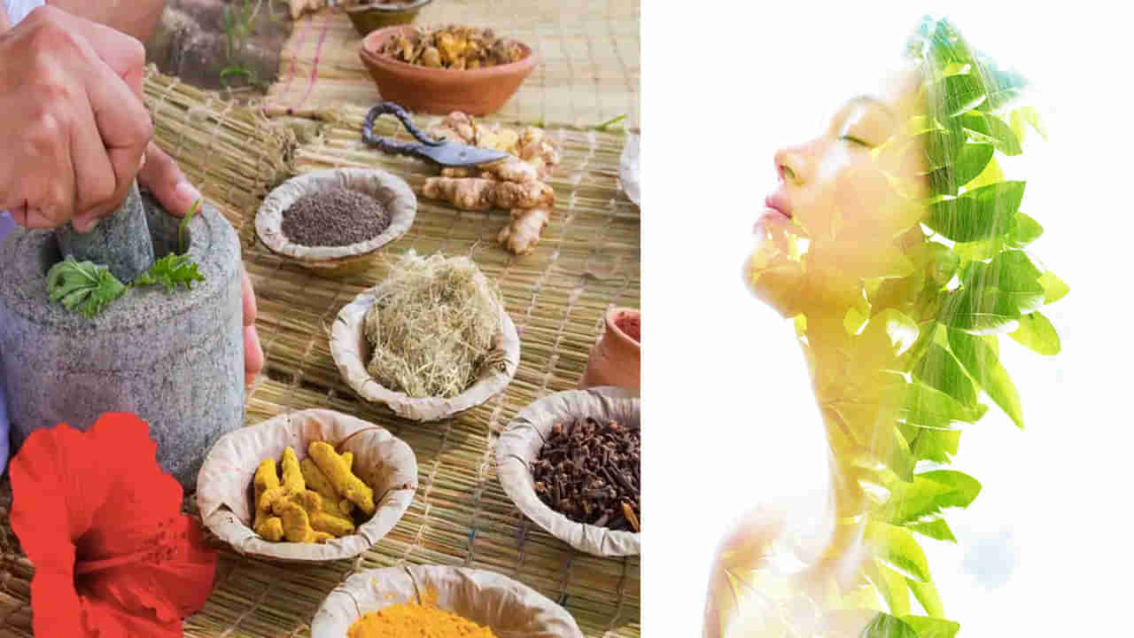 Ayurvedic Skin Care Tips: స్పష్టమైన, కాంతివంతమైన ముఖసౌందర్యం కోసం ఆయుర్వేద చర్మ సంరక్షణ రహస్యాలు