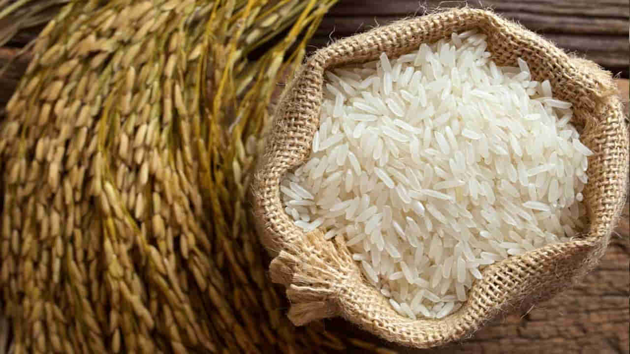 Basmati Ric: బాస్మతి బియ్యంపై ప్రభుత్వం కీలక నిర్ణయం.. ఎగుమతి ధరను తగ్గించే యోచన