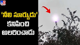 ‘నీలి సూర్యుడు’ కనిపించి అలరించాడు.. ‘నీలి సూర్యుడు’ కనిపించి అలరించాడు..