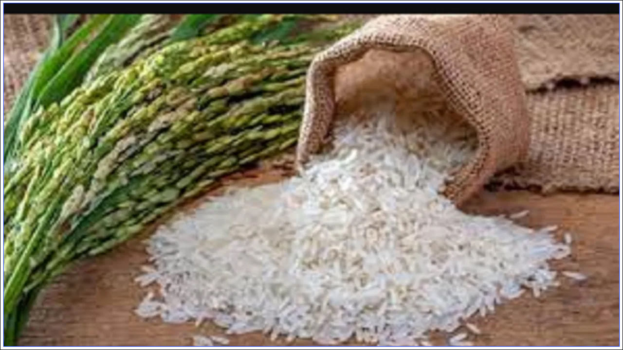 Boiled Rice Export Duty: బాయిల్డ్ రైస్ ఎగుమతిపై విధించిన సుంకంపై కేంద్రం కీలక నిర్ణయం తీసుకోనుందా..?