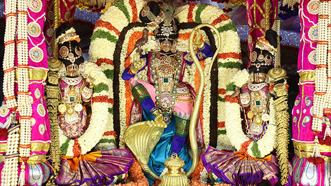 ఈ రోజు రాత్రి 7 గంటలకు ముత్యపుపందిరి వాహనంపై శ్రీదేవి, భూదేవితో కలిసి కాళీయమర్ధన అలంకారంలో స్వామివారు తిరుమాడ వీధుల్లో ఊరేగుతూ భక్తులకు దర్శనం ఇవ్వనున్నారు. చల్లని ముత్యాలకింద నిలిచిన శ్రీనివాసుని దర్శనం చేసుకుంటే తాపత్రయాలను పోగొట్టి, భక్తుల జీవితాలకు చల్లదనాన్ని సమకురుస్తుందని విశ్వాసం
