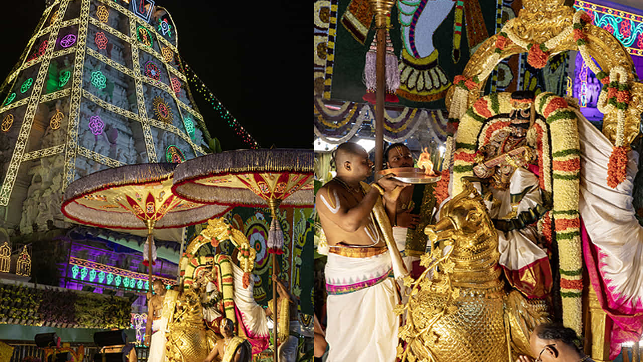 హంస వాహనసేవలో శ్రీ మలయప్పస్వామివారు జ్ఞానమూర్తిగా ప్రకాశిస్తాడు. పురాణాల ప్రకారం బ్రహ్మ వాహనం హంస జ్ఞానానికి ప్రతీక. పాలను, నీళ్లను వేరుచేసే విచక్షణ హంస స్వభావం..