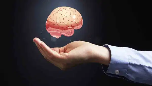Brain Health Foods: బ్రెయిన్ షార్ప్ గా ఉండాలంటే ఈ ఫుడ్స్ ని ఖచ్చితంగా తీసుకోండి!