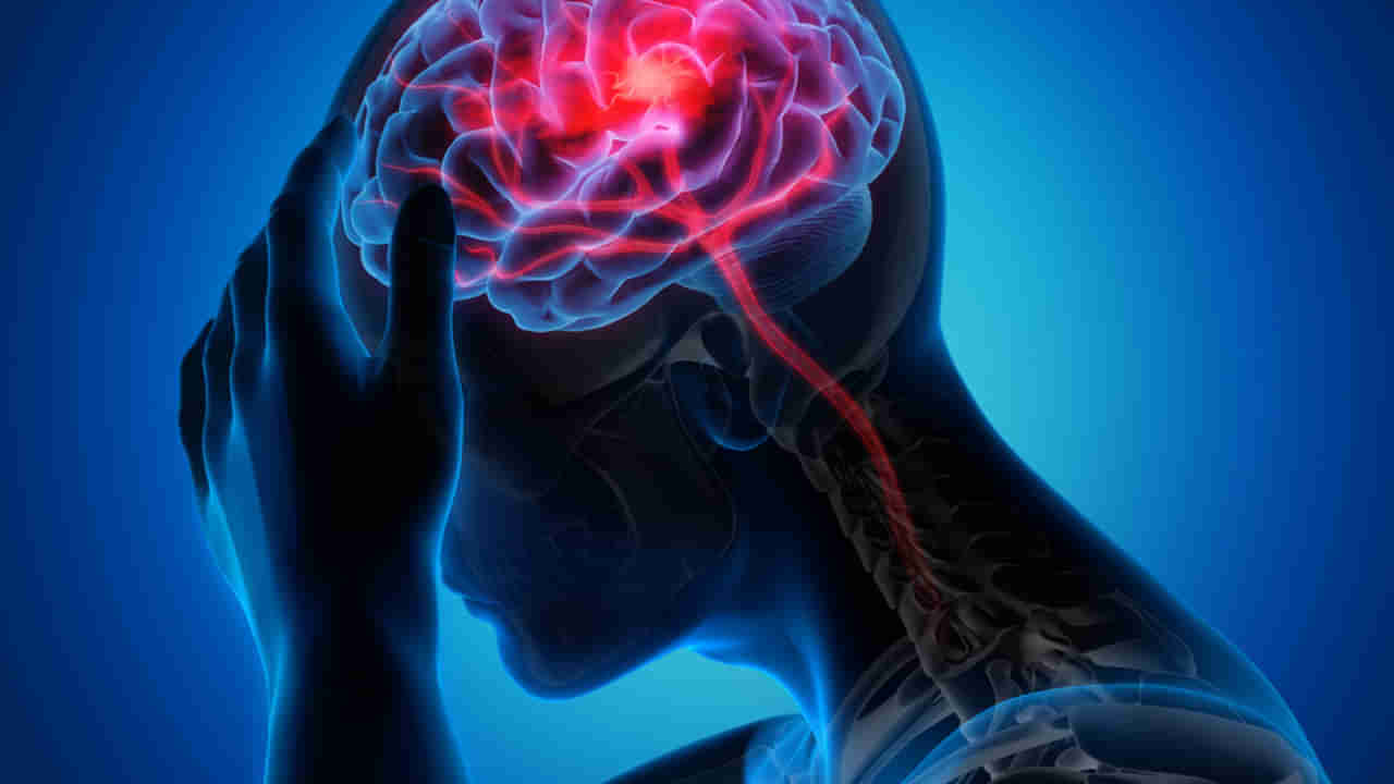 Brain Stroke: అకస్మాత్తుగా మైకము వచ్చినట్లయితే దానిని తేలికగా తీసుకోకండి.. అది స్ట్రోక్ లక్షణం కావచ్చు