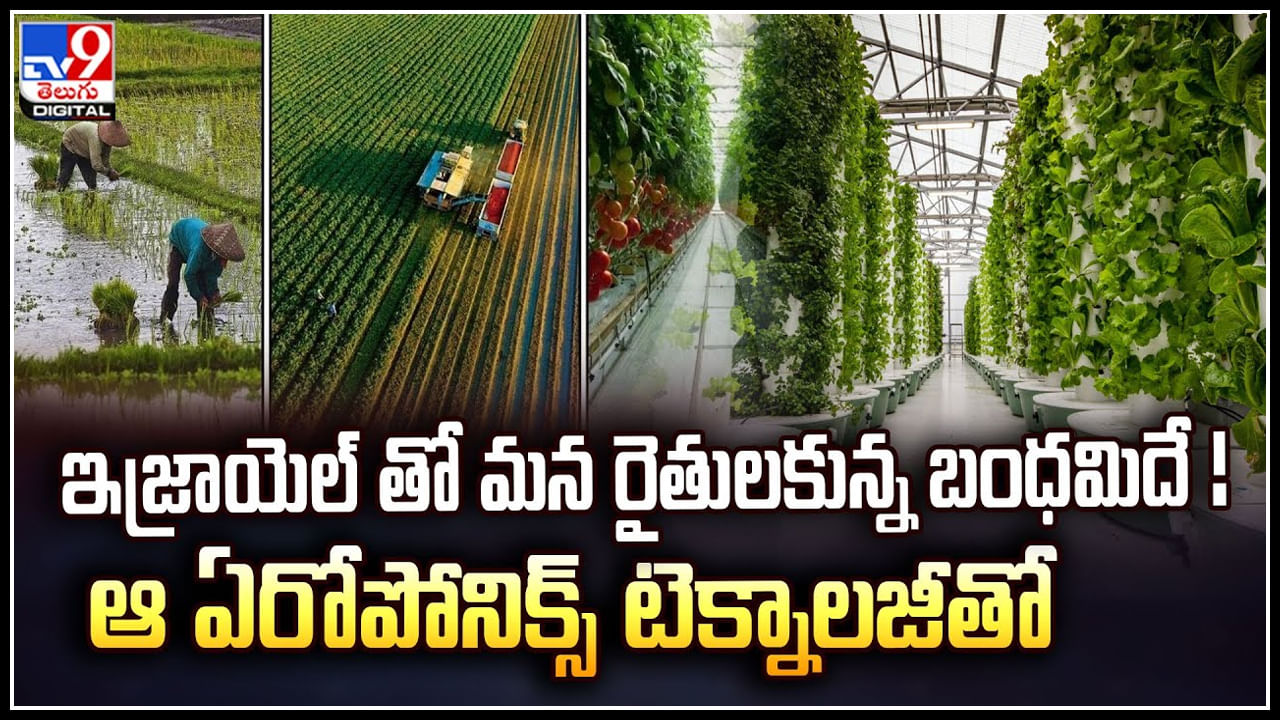 Israel Farming: ఇజ్రాయెల్ తో మన రైతులకున్న బంధమిదే.! ఆ ఏరోపోనిక్స్ టెక్నాలజీతో..