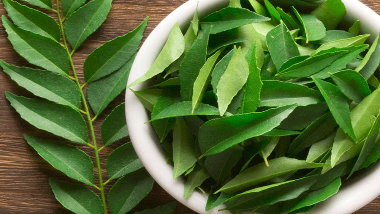 గత కొంతకాలం వరకూ కరివేపాకును ఎక్కువగా దక్షిణాదివారు మాత్రమే ఉపయోగించేవారు. ఇప్పుడు ఉత్తర భారతదేశంలోని ప్రజలు ఆహారంలో కూడా ఎక్కువగా ఉపయోగిస్తున్నారు. ప్రస్తుతం కరివేపాకు షుగర్ పేషేంట్స్ కు కరివేపాకు దివ్య ఔషధం.. చక్కెరను నియంత్రించడంతో పాటు అనేక వ్యాధులను  నియంత్రిస్తుంది.  