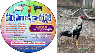 Congress Bus Yatra: కాంగ్రెస్‌లో సీతక్క సెంటిమెంట్.. నాడు రేవంత్.. నేడు రాహుల్ గాంధీ బస్సు యాత్ర