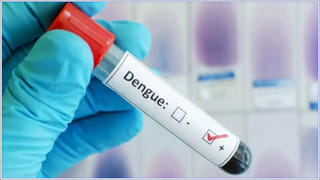 SP స్టార్ క్యాంపెయినర్ల జాబితా విడుదల.. అఖిలేష్ యాదవ్, జయా బచ్చన్‌లతో సహా ప్రముఖుల పేర్లు