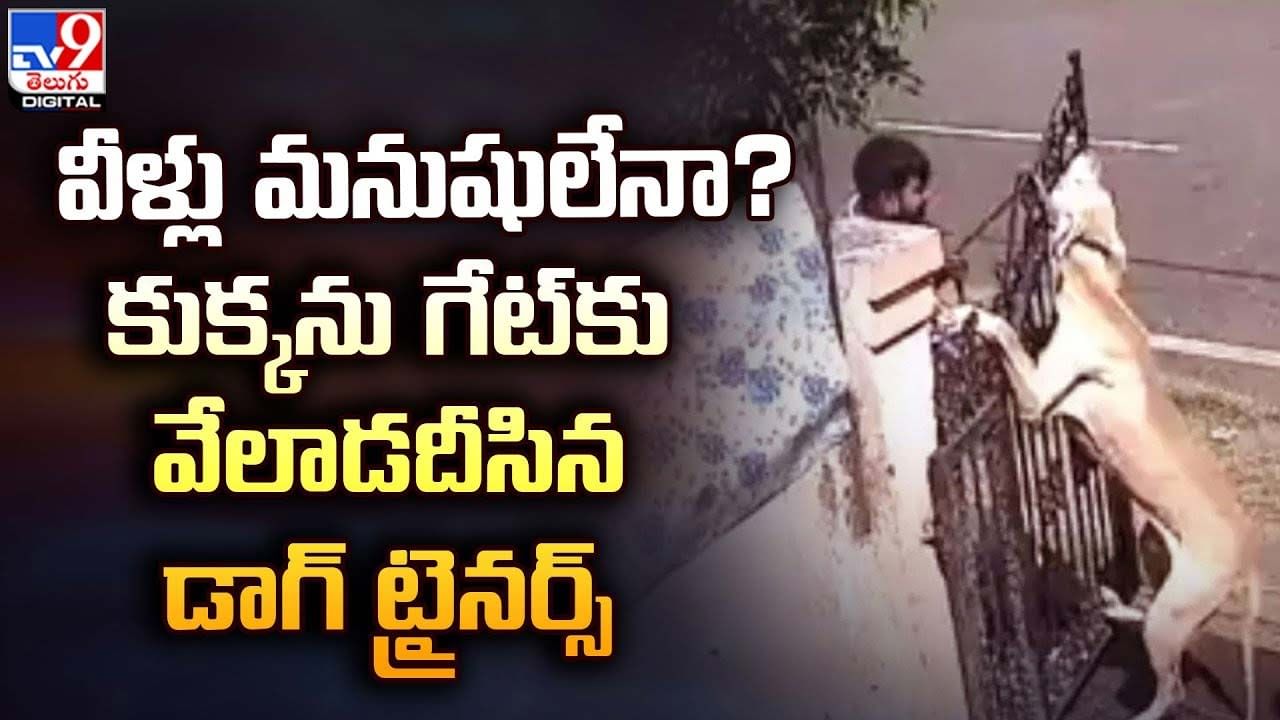 వీళ్లు మనుషులేనా? కుక్కను గేట్‌కు వేలాడదీసిన డాగ్‌ ట్రైనర్స్‌