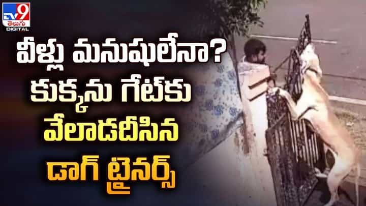 వీళ్లు మనుషులేనా? కుక్కను గేట్కు వేలాడదీసిన డాగ్ ట్రైనర్స్ వీళ్లు మనుషులేనా? కుక్కను గేట్కు వేలాడదీసిన డాగ్ ట్రైనర్స్