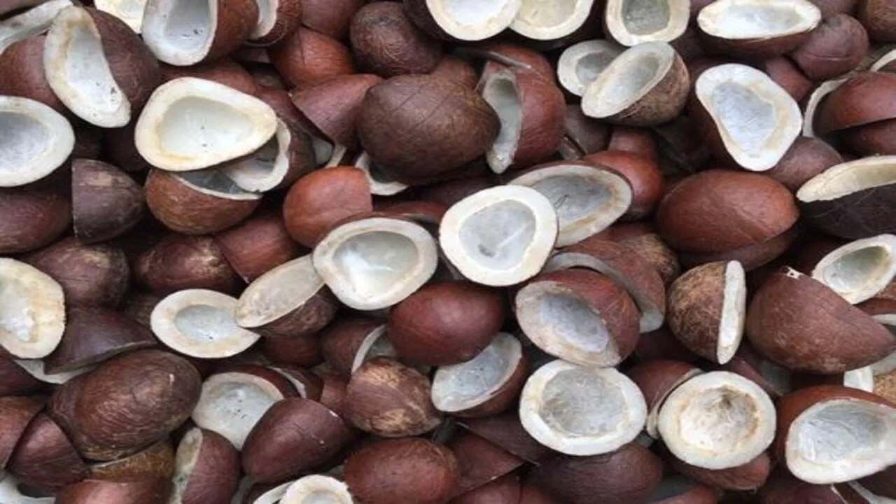 Dry Coconut Benefits ఎండు కొబ్బరి తినడం వల్ల కలిగే ప్రయోజనాలు ఏంటో