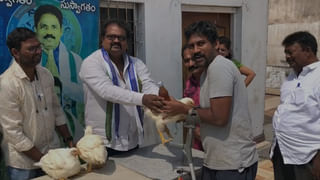 AP Politics: మార్క్ రాజకీయం మొదలు పెట్టిన గోరంట్ల మాధవ్.. పత్తికొండలో జెండా పాతేందుకు ప్లాన్..