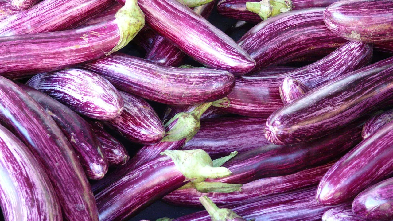 Eggplants Side Effects రక్త హీనతతో బాధ పడుతున్నారా.. అయితే వంకాయలకు దూరంగా ఉండండి!!