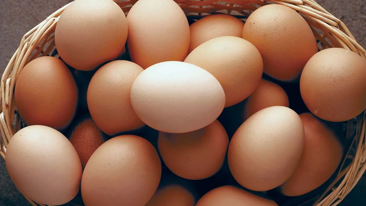 అయితే, కొన్ని అనారోగ్య సమస్యలున్న వారు.. ఎప్పటికప్పుడు గుడ్ల పరిమాణాన్ని నియంత్రించాలని సూచిస్తున్నారు. గుడ్లకు బదులుగా ఆహారంలో ఇతర ప్రోటీన్ పదార్థాలను కూడా చేర్చుకోవాలని వైద్య నిపుణులు సూచిస్తున్నారు. 