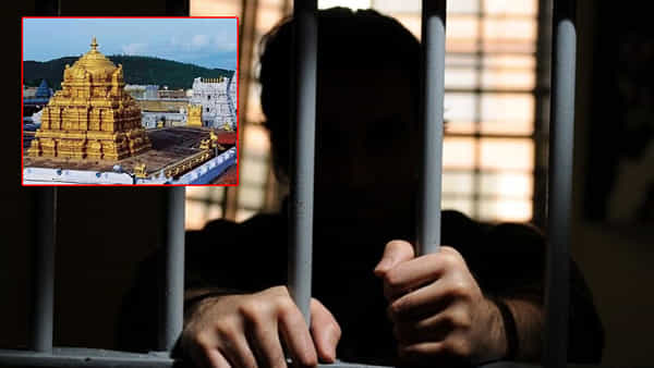 Fake IRS officer Arrest at TTD: వీఐపీ దర్శనం టికెట్ల కోసం కక్కుర్తి.. తిరుమలలో నకిలీ ఐఆర్ఎస్ ఆఫీసర్ అరెస్ట్