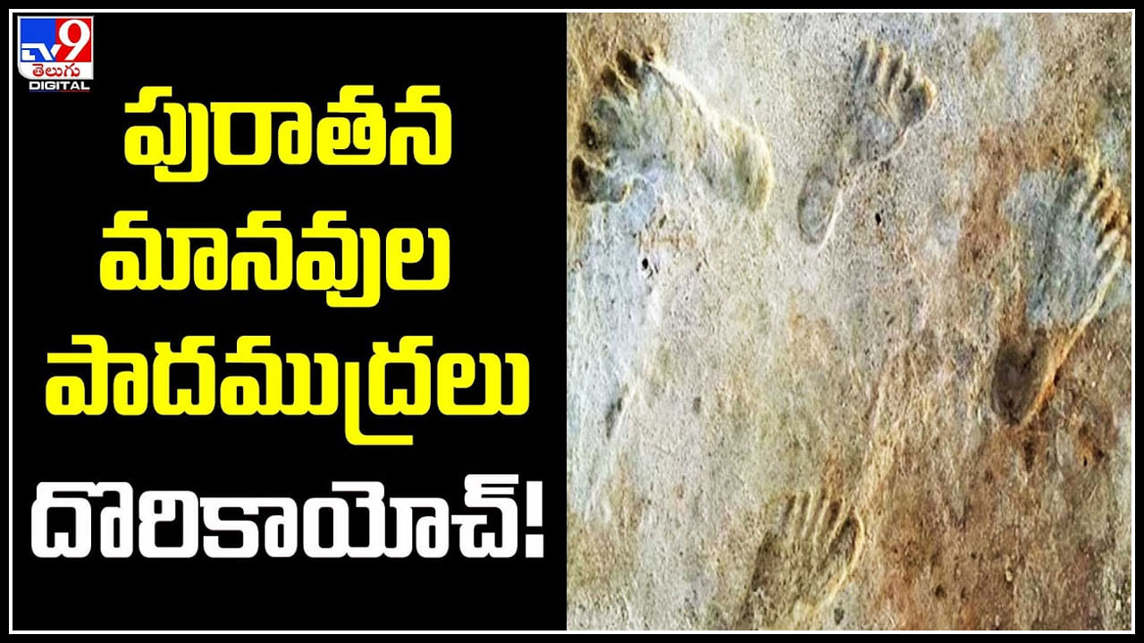 Oldest Footprints: పురాతన మానవుల పాదముద్రలు దొరికాయోచ్‌..! 13 వేల ఏళ్ళ క్రితం ముద్రలు.