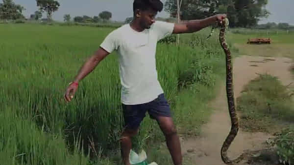 Telangana: నీళ్ల కోసం ఊరి చివరి బావిలో దిగిన గిరిజనులు.. ఒక్కసారిగా కనిపించిన సీన్ చూసి పరుగో పరుగు..
