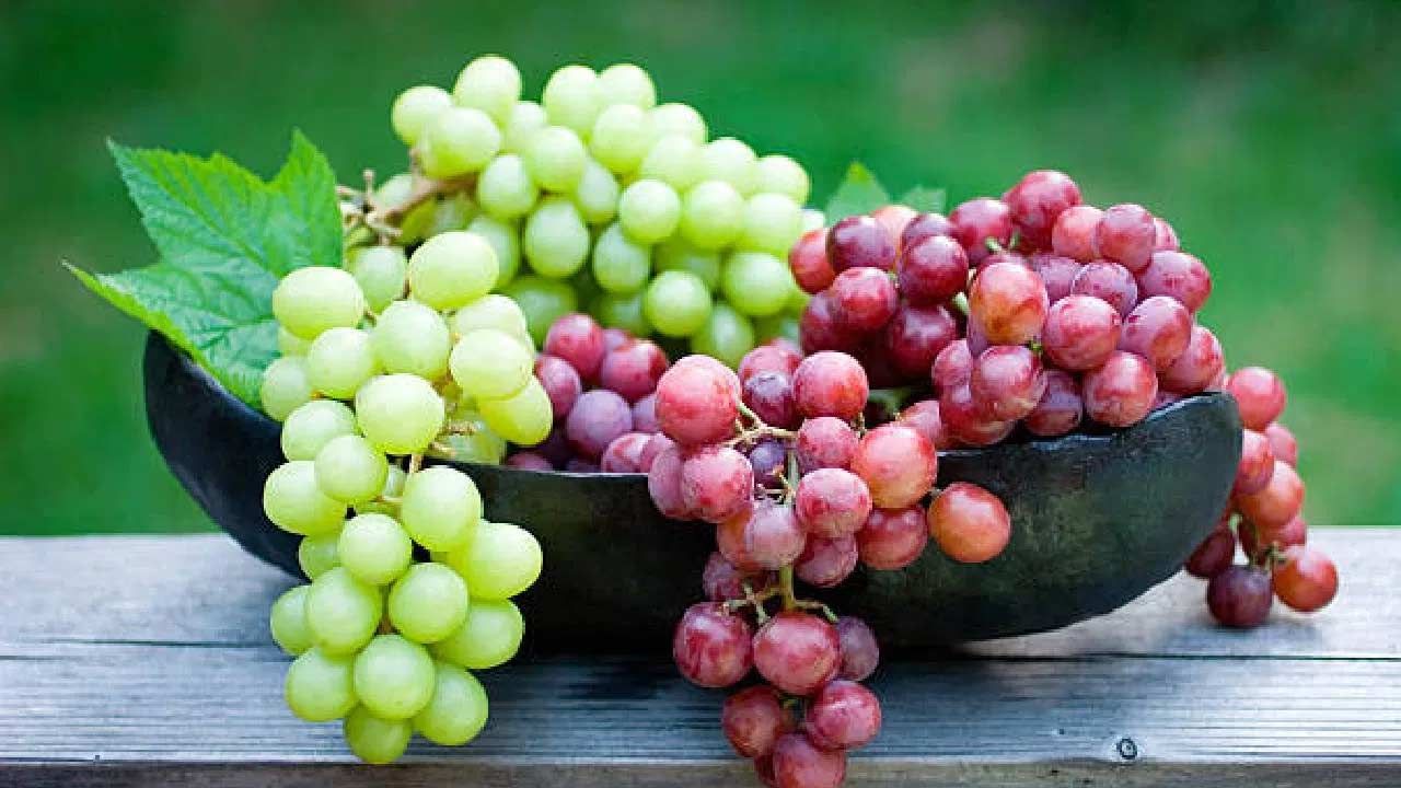 ఎండు ద్రాక్ష లేదా తాజా ద్రాక్ష.. ఏదైనా సరే చాలా మంది ఇష్టంగా తింటారు. ద్రాక్ష రుచికే కాదు ఆరోగ్యానికి కూడా ఎంతో మేలు చేస్తుంది. సాధారణంగా ద్రాక్ష ఆకుపచ్చ, నలుపు, ఎరుపు రంగుల్లో ఉంటాయి. ద్రాక్షలో పోషక విలువలు అధికంగా ఉంటాయి. అందువల్ల వీటిని క్రమం తప్పకుండా తినడం ఆరోగ్యానికి ఎంతో మేలు చేస్తుంది.