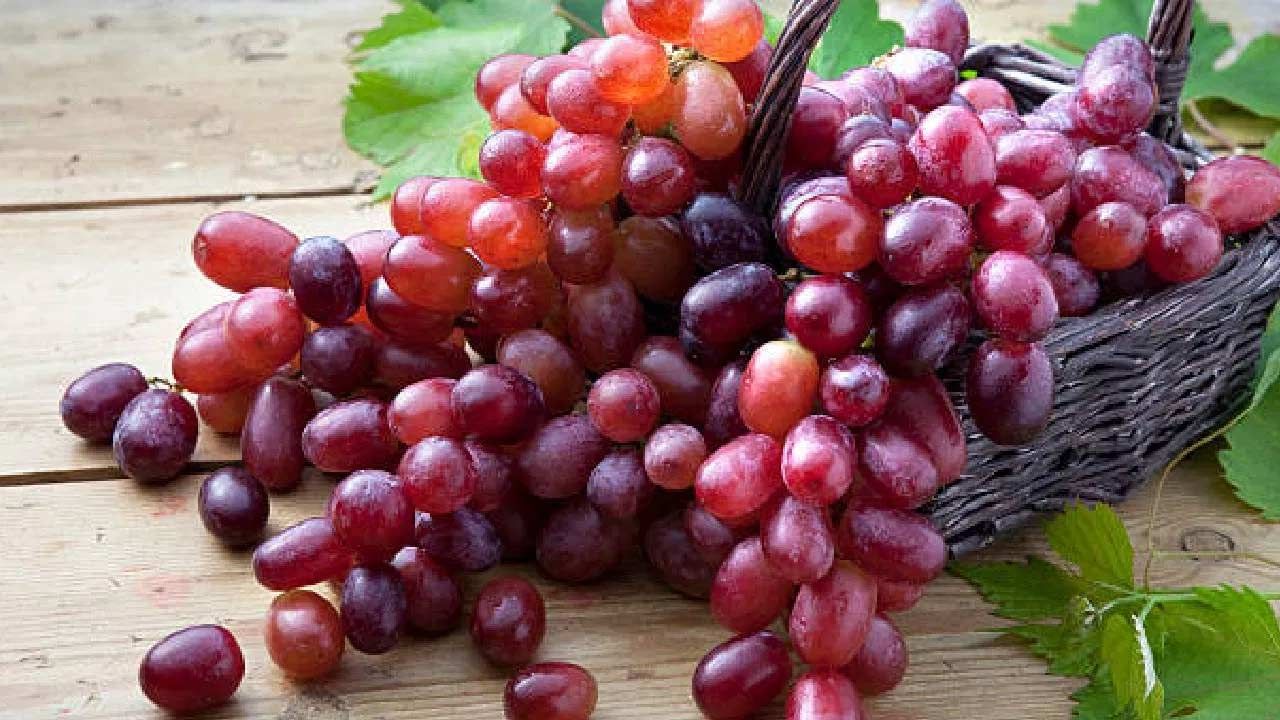 ద్రాక్షలో విటమిన్ సి అధికంగా ఉండటం వల్ల రోగనిరోధక వ్యవస్థను పెంచడంలో సహాయపడుతుంది. అనారోగ్యానికి దూరంగా ఉండేందుకు, మంచి ఆరోగ్యాన్ని కాపాడుకోవడానికి ఇది సహాయపడుతుంది. ద్రాక్ష జీర్ణక్రియను మెరుగుపరుస్తుంది. ద్రాక్షలో అధిక ఫైబర్ కంటెంట్ ఉండటం వల్ల ఆరోగ్యకరమైన జీర్ణక్రియను ప్రోత్సహిస్తుంది. ఫలితంగా మలబద్దకాన్ని నివారించవచ్చు.