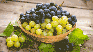 Arthritis Disease: చిన్న వయసులోనే కీళ్ల నొప్పులు.. నివారించాలంటే ఈ చిట్కాలు పాటించండి!