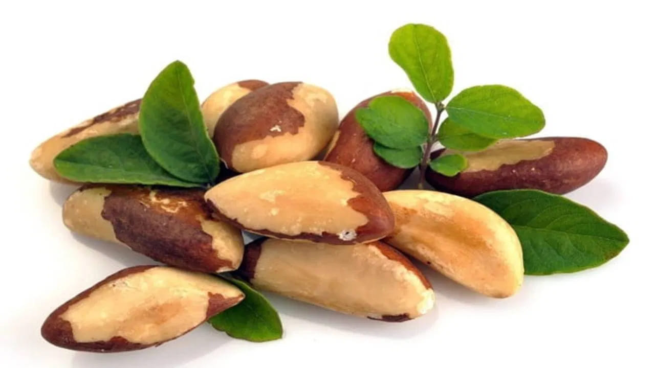 బ్రెజిల్ నట్స్: బ్రెజిల్ నట్స్ గురించి ఎప్పుడైనా విన్నారా? బ్రెజిల్ నట్స్లో సెలీనియం అనే మూలకం ఉంటుంది. ఇది హార్మోన్ల జీవక్రియను నిర్వహిస్తుంది. బ్రెజిల్ నట్స్ ను ఆహారంలో చేర్చుకోండి. బ్రెజిల్ నట్స్ థైరాయిడ్ పై మంచి ప్రభావం చూపుతాయి.