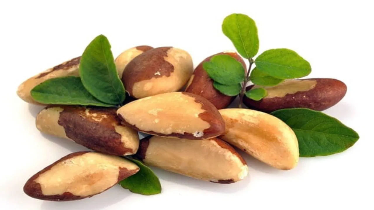 బ్రెజిల్ నట్స్: బ్రెజిల్ నట్స్ గురించి ఎప్పుడైనా విన్నారా? బ్రెజిల్ నట్స్‌లో సెలీనియం అనే మూలకం ఉంటుంది. ఇది హార్మోన్ల జీవక్రియను నిర్వహిస్తుంది. బ్రెజిల్ నట్స్ ను ఆహారంలో చేర్చుకోండి. బ్రెజిల్ నట్స్ థైరాయిడ్ పై మంచి ప్రభావం చూపుతాయి.